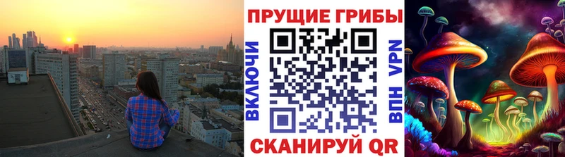 где можно купить наркотик KRAKEN как войти Галлюциногенные грибы Psilocybine cubensis Моршанск